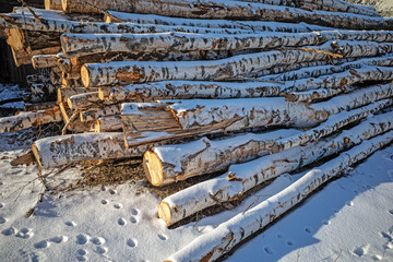 The firewood is stacked in a woodpile on the outside of the fence