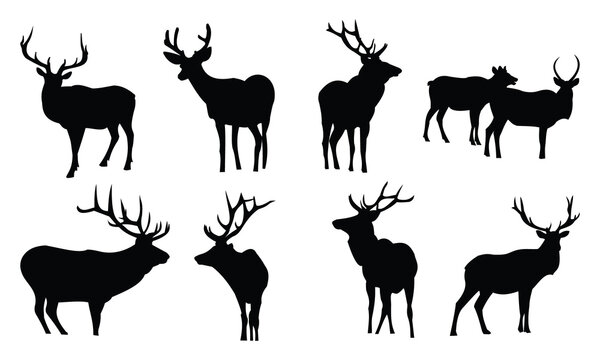 Elk Silhouettes SVG Elk Silhouette Clipart