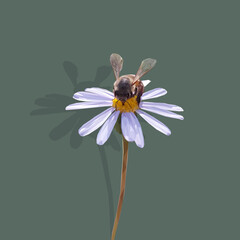 Low poly, illustration, of a bee collecting pollen from a blue aster flower