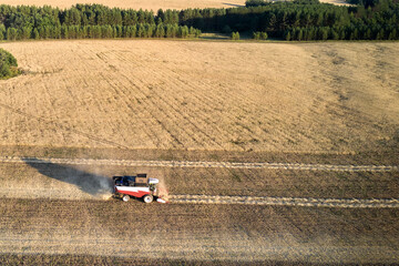 Fototapeta na wymiar A lone combine harvester picks up and threshes the rolls of mown wheat. Shooting from a drone.