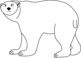 Polar bear