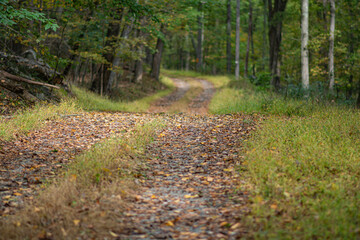 Perfect fall season colors in a perfect day light