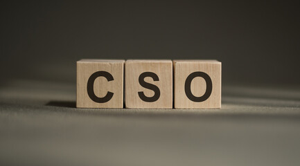 the word CSO CHIEF STRATEGY OFFICER written in cubes