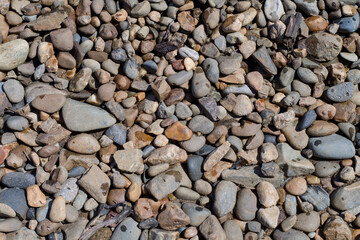 pebbles on the shore. rocky bank by the river. many different stones and flints. background. top view