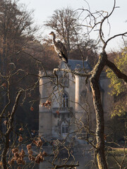 Chateau de la Reine blanche