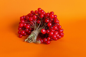 Viburnum is a plant with red berries, whose branches are used for knitting baskets, and the berries for medicinal purposes. Also viburnum is an excellent ingredient for cooking healthy meals.