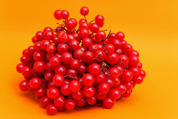 Viburnum is a plant with red berries, whose branches are used for knitting baskets, and the berries for medicinal purposes. Also viburnum is an excellent ingredient for cooking healthy meals.