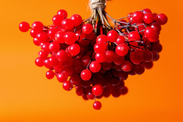 Viburnum is a plant with red berries, whose branches are used for knitting baskets, and the berries for medicinal purposes. Also viburnum is an excellent ingredient for cooking healthy meals.