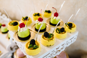 Candy bar. Delicious wedding reception on dessert table. Festive table with sweets, candies, desserts, tartlet and cupcakes. Side view. Close up.