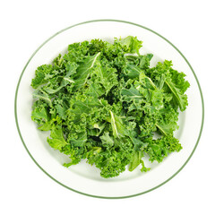 Fresh green kale leaves. Vegetarian menu, healthy diet food