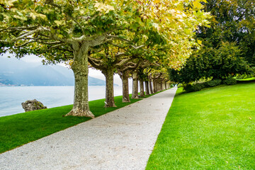 View of the gardens of Villa Melzi in Bellagio, Lake Como, Lombardy - Italy