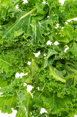 Fresh green kale leaves. Vegetarian menu, healthy diet food
