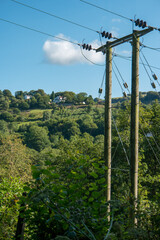 Obraz premium power lines in the mountains