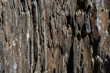 The surface of the rock is brown, the texture of the stone