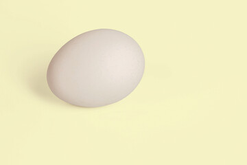 Close up view of white chicken egg isolated on yellow background. 