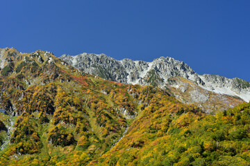 錦秋の立山黒部アルペンルート（タンボ平（黒部平＆大観峰）の絶景紅葉）