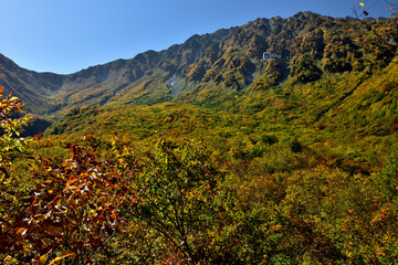 錦秋の立山黒部アルペンルート（タンボ平（黒部平＆大観峰）の絶景紅葉）