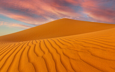 Sand dunes in the Wahiba desert