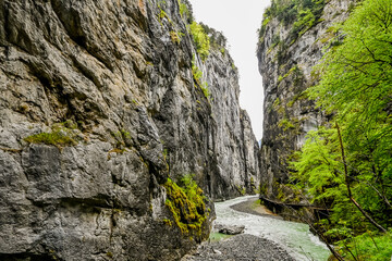 Meiringen, Aareschlucht, Schlucht, Aare, Felsen, Kalkstein, Haslital, Fluss, Wanderweg, Alpen, Berner Oberland, Frühling, Sommer, Schweiz