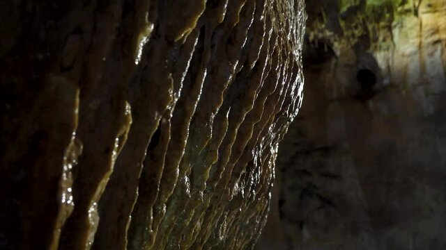 Wet wall in Bacho Kiro cave near Dryanovo town in Bulgaria