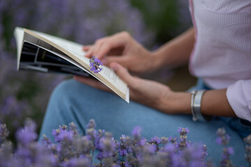 closeup hands and book of a  woman which  sitting on the lavender field