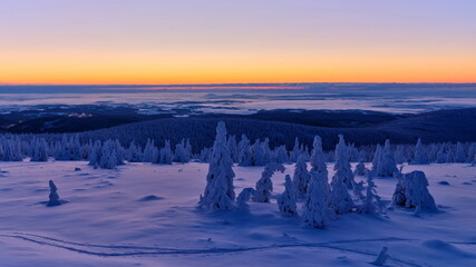 Beautiful winter mountain landscape with snowed trees at sunrise.