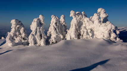 Snowy statues from trees covered with snow in the mountains.
