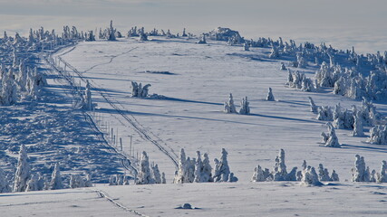 Pole marked hiking path in winter.