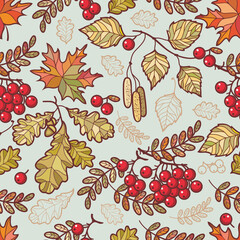Autumn leaves seamless pattern Vector illustration of autumn leaves seamless pattern. Fall Autumn leaves Hello autumn, mountain ash, maple, oak, birch fall leaves 