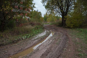 Fototapeta na wymiar Clay road with a puddle surrounded by trees