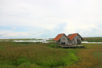 Fototapeta na wymiar Two twin house on the rice field the famous travel place in Phatthalung province, Thailand