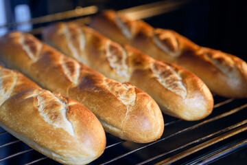 crispy bread rolls baked in the oven