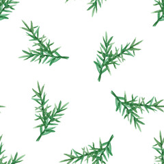 Seamless pattern with branches of a Christmas tree or rosemary on a white background. The elements are hand-drawn in watercolor, for Christmas, New Year or culinary decor.