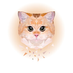 Cute cat. low poly art