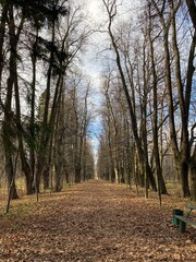 Panoramic view of the alleys in the Gorki Leninskiye Museum-Reserve in autumn