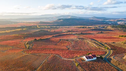 Fotobehang aerial view of la rioja vineyards, Spain © jon_chica