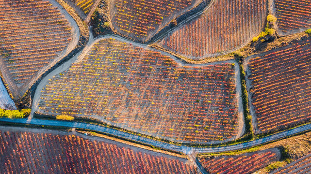 aerial view of la rioja vineyards, Spain