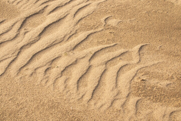 Fototapeta na wymiar Sand waves on river bank 