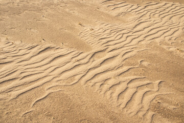 Sand waves on river bank 