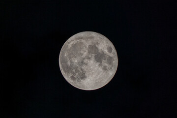 Fototapeta premium 月