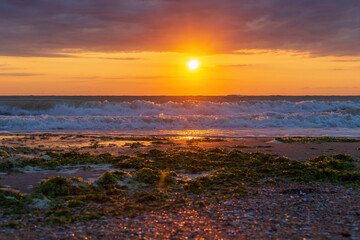 Fototapeta premium sunset on the beach
