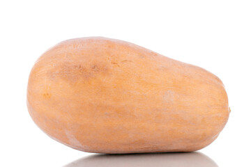 One ripe organic pumpkin, close-up, isolated on white.