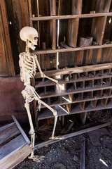 Skeleton in a wooden shack looking at ore samples on a shelf