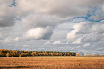 Autumn field against a cloudy sky 