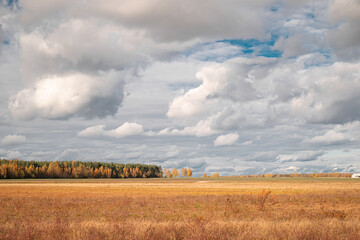 Autumn field against a cloudy sky 