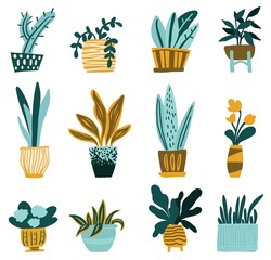 Vector set of stylized plants in pots