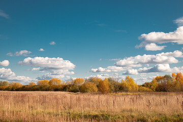 Fototapeta na wymiar Autumn field against a cloudy sky 