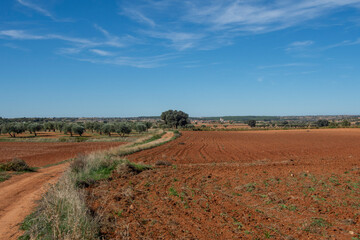 Paisaje rural con tierras de labranza