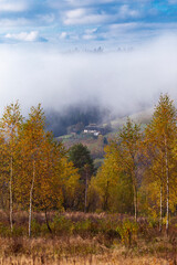 Thick autumn fog on the background of autumn forest overlooking the house and apiary in the mountains. Beauty of nature concept background.