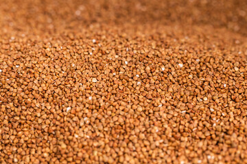 Fresh buckwheat background texture. Cereals and organic food concept